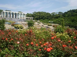 須磨離宮公園.jpg
